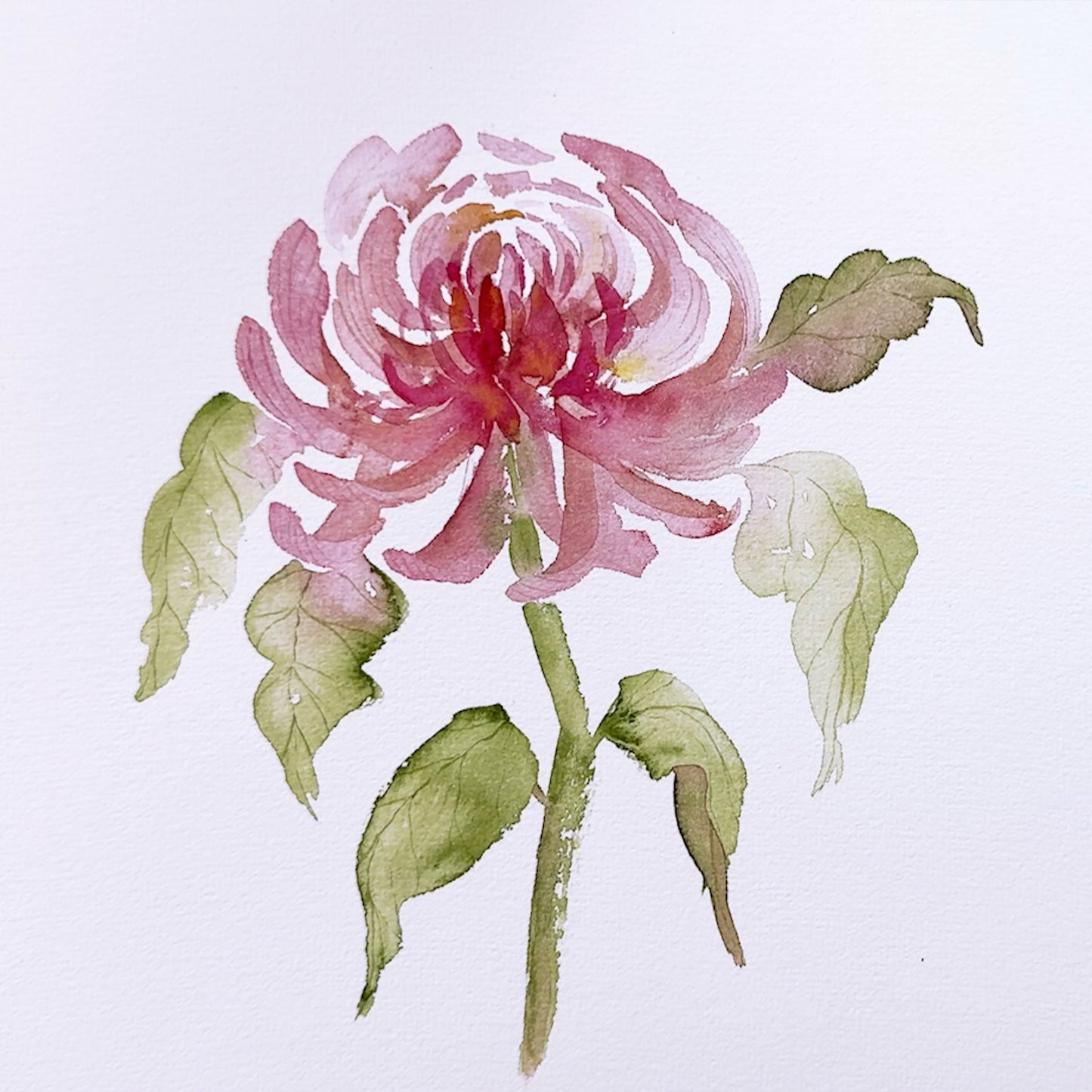 Onlinekurs „Chrysanthemen in Aquarell“ – Elegante Formen & sanfte Schichten