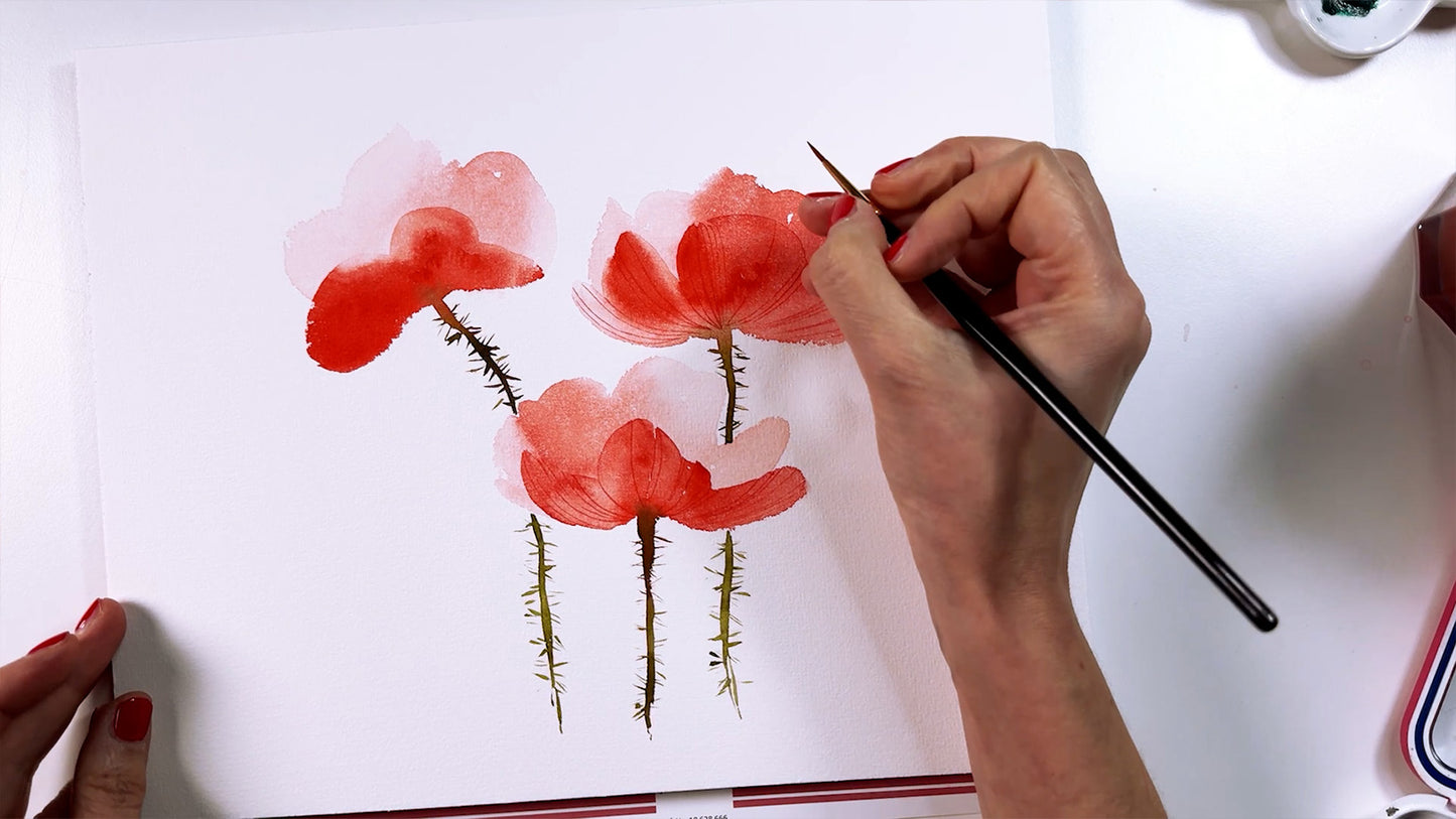 Onlinekurs „Mohnblumen in Aquarell“ – Schicht für Schicht zur Sommerblüte