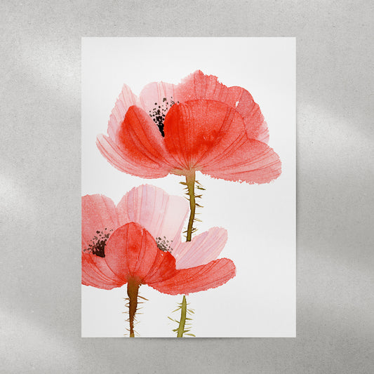 Fine-Art-Print mit zwei großen roten Mohnblumen nach einem handgemalten Aquarell
