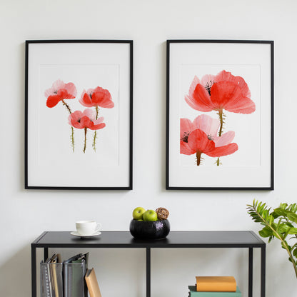 Zwei gerahmte Fine-Art-Prints mit unterschiedlichen roten Mohnblumenmotiven nebeneinander
