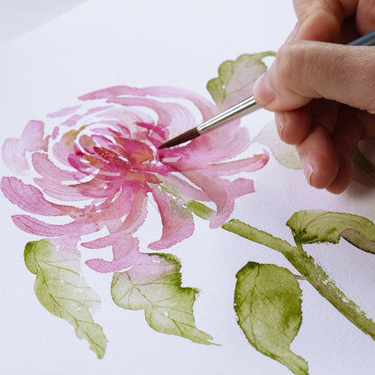 Onlinekurs „Chrysanthemen in Aquarell“ – Elegante Formen & sanfte Schichten