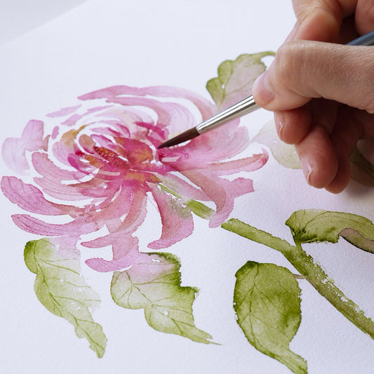 Onlinekurs „Chrysanthemen in Aquarell“ – Elegante Formen & sanfte Schichten