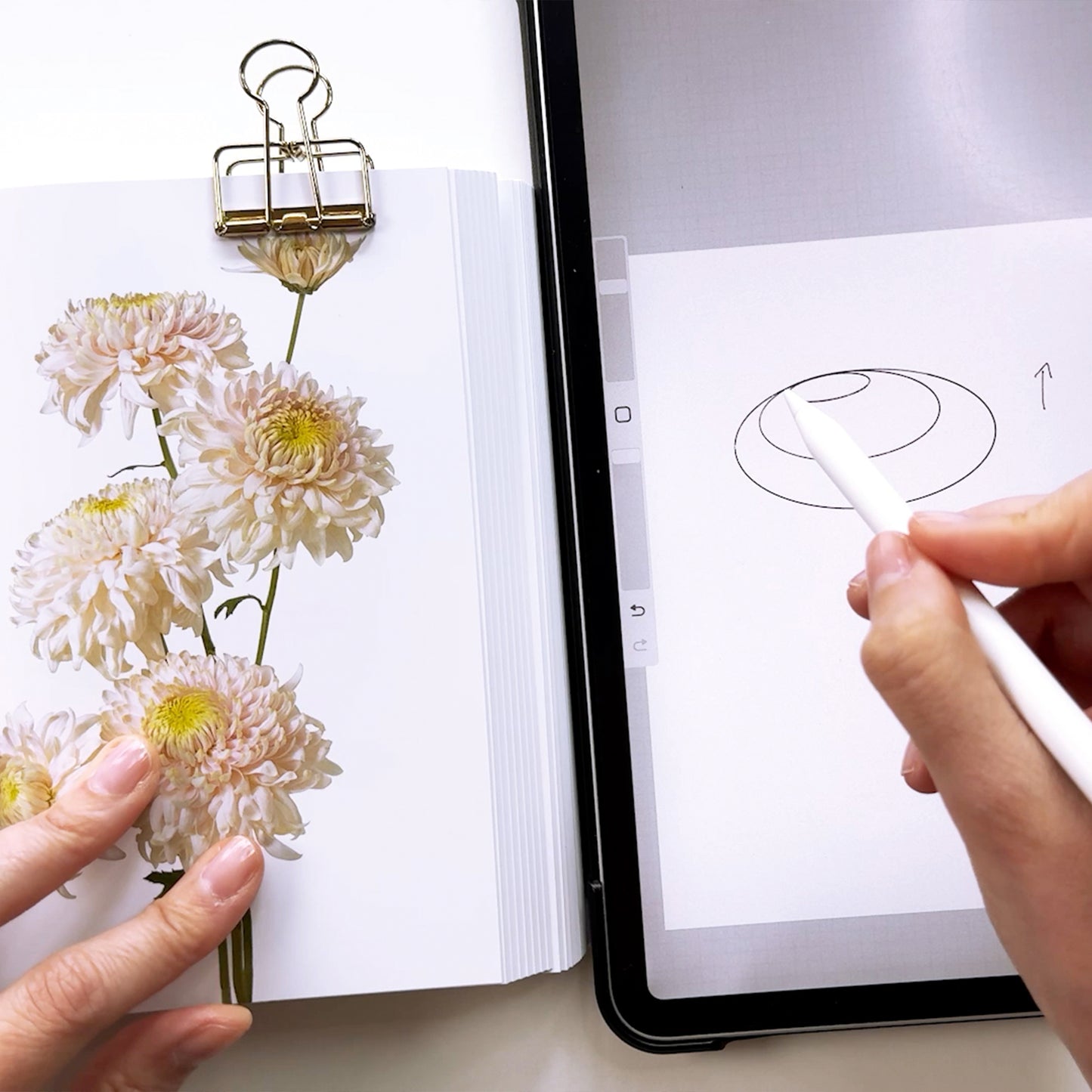 Onlinekurs „Chrysanthemen in Aquarell“ – Elegante Formen & sanfte Schichten