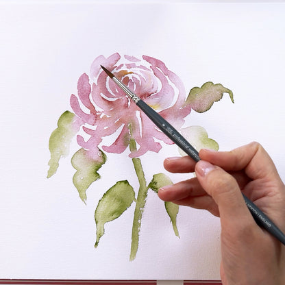 Onlinekurs „Chrysanthemen in Aquarell“ – Elegante Formen & sanfte Schichten