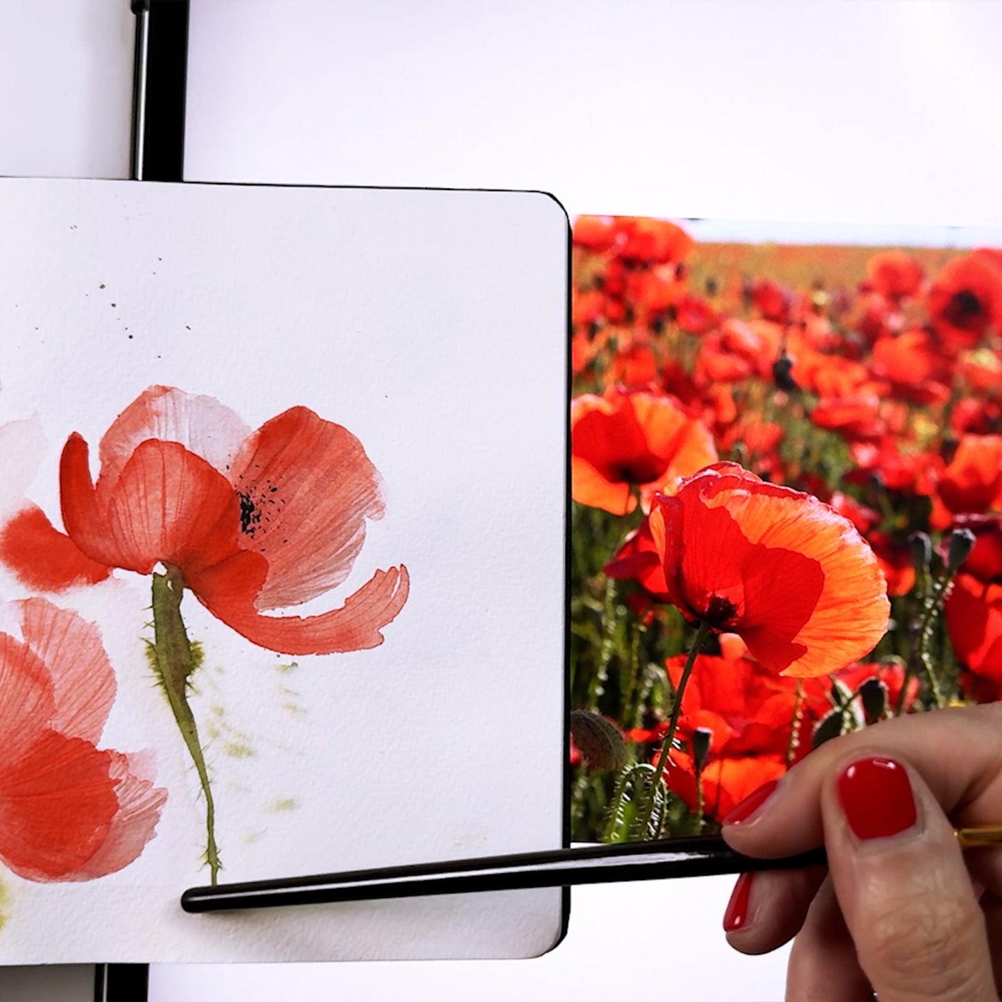 Onlinekurs „Mohnblumen in Aquarell“ – Schicht für Schicht zur Sommerblüte