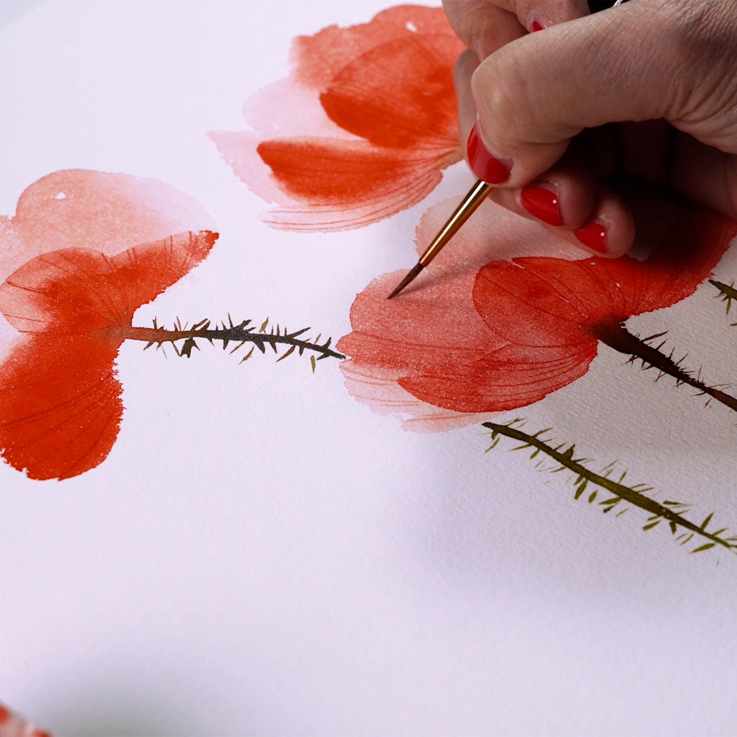 Onlinekurs „Mohnblumen in Aquarell“ – Schicht für Schicht zur Sommerblüte